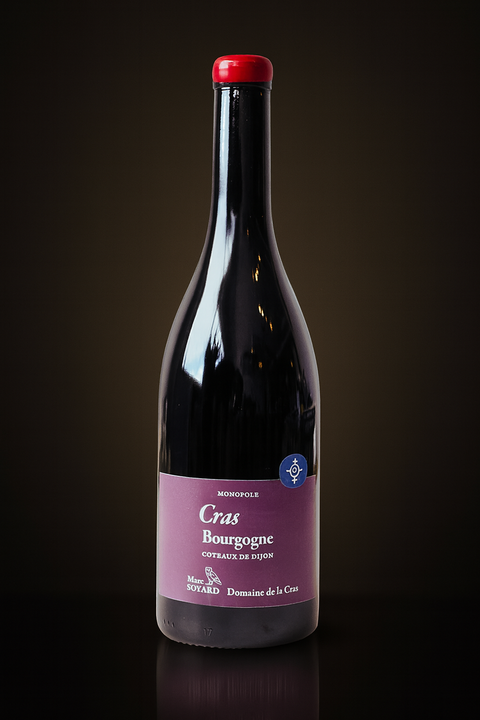 Domaine de la Cras - Bourgogne - Cras - 2019 - 750 ml
