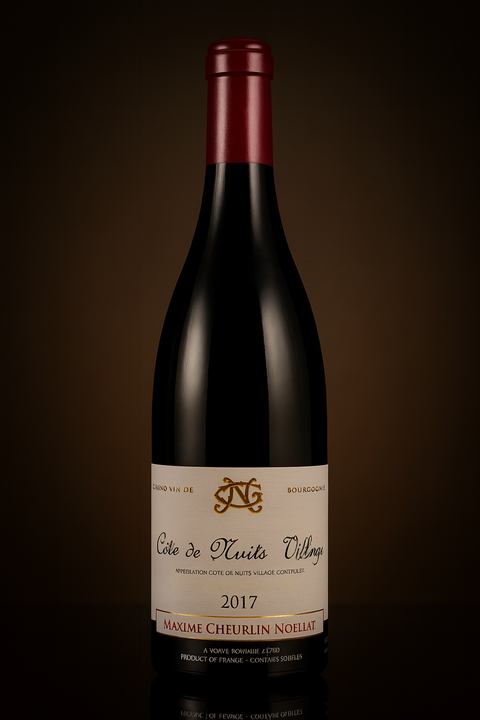 Georges Noellat - Cotes de Nuits Villages - 2017 - 750 ml