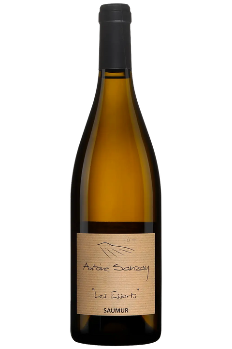 Antoine Sanzay Saumur Champigny 2018 - 750 ml